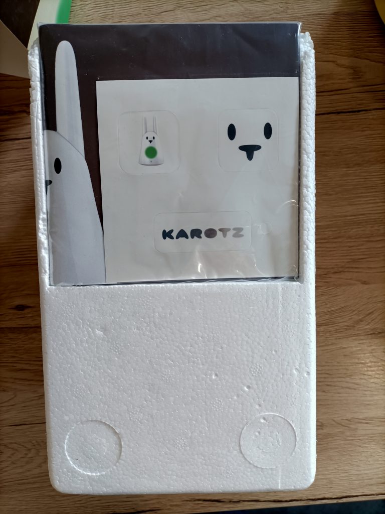 boite lapin intelligent Karotz